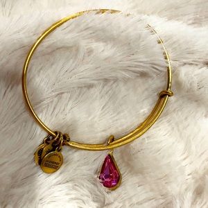 ALEX & ANI Pink Bangle Bracelet 💗✨